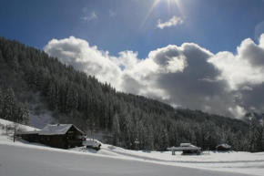 Отель La Chanterelle - Mountain Lodge, Ла Кот-Д'арбро